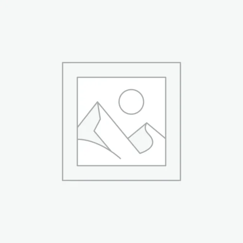 1 Month Subscription